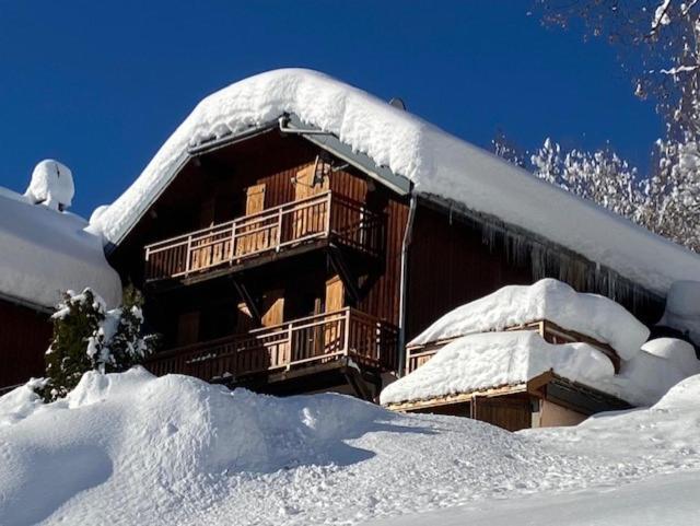 Chalet La Rioule 16 Pers Doucy エクステリア 写真