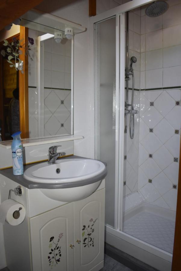 Chalet La Rioule 16 Pers Doucy エクステリア 写真